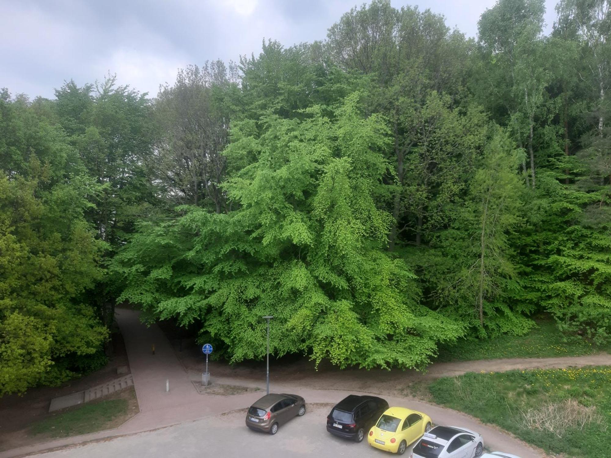 Appartamento Lesny Loft Gdynia Esterno foto