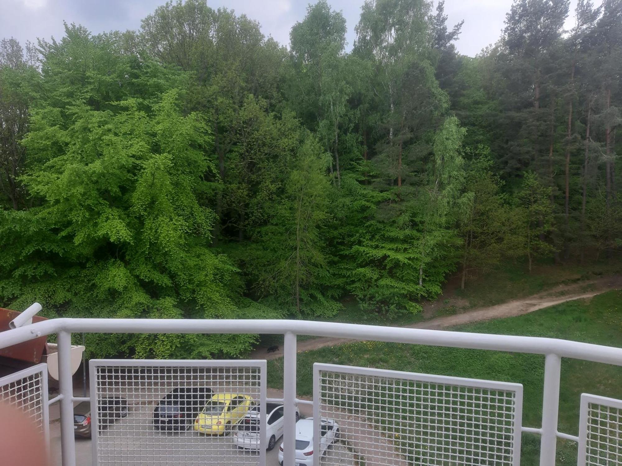 Appartamento Lesny Loft Gdynia Esterno foto